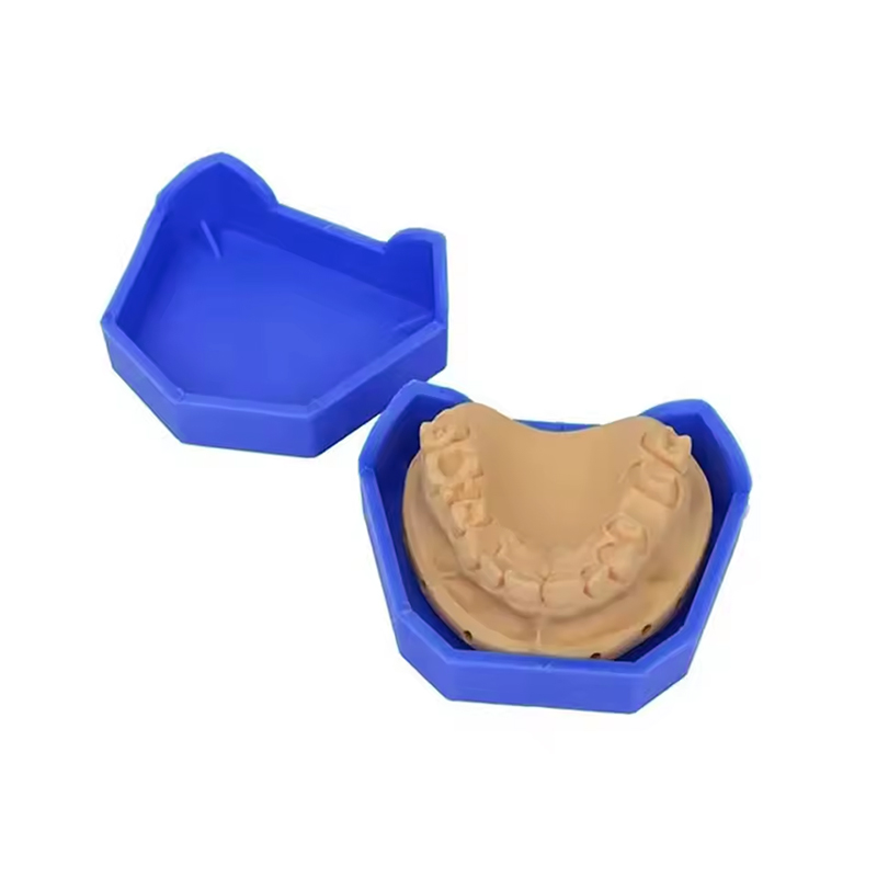 2/6Pcs Dental Model Base Silic – обзор и цена Teeth Whitening Trays