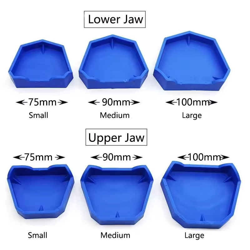 2/6Pcs Dental Model Base Silic – обзор и цена Teeth Whitening Trays
