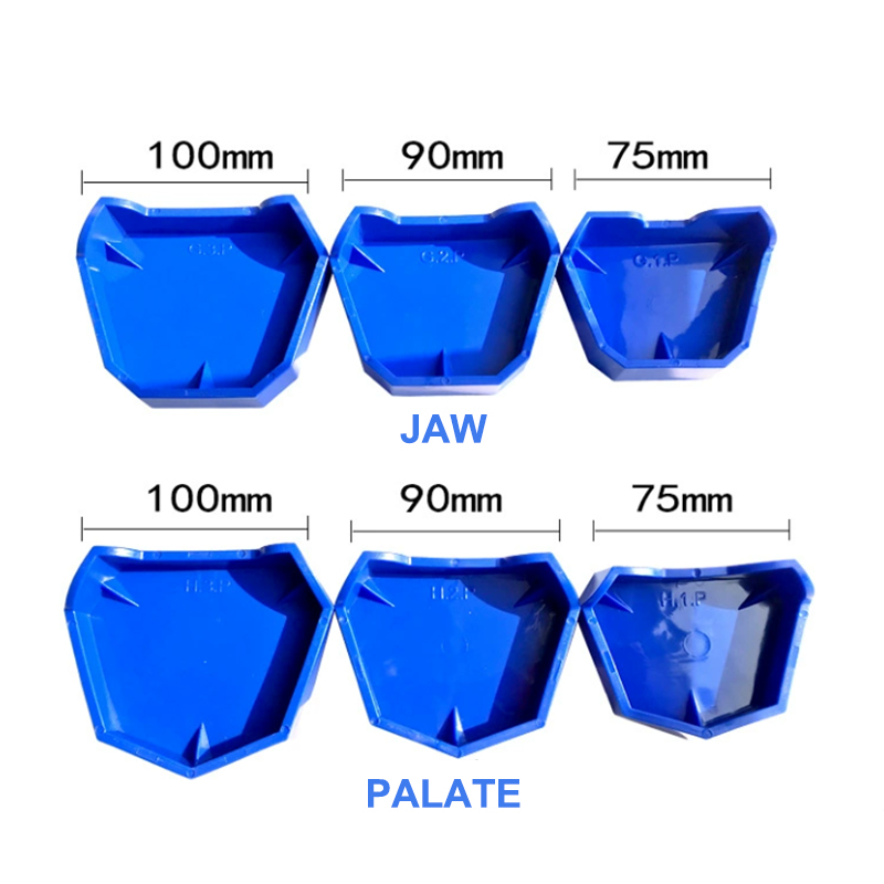 2/6Pcs Silicone  Dental Model  – обзор и цена Teeth Whitening Trays