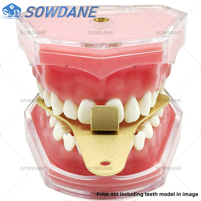 Dental Lab Impression Trays to – обзор и цена Teeth Whitening Trays
