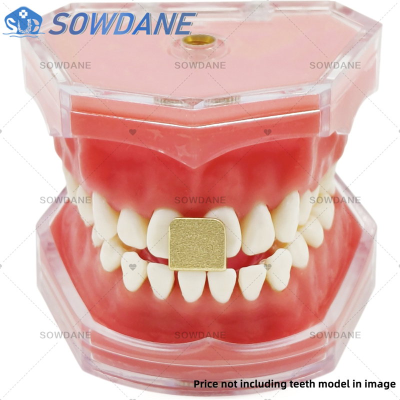 Dental Lab Impression Trays to – обзор и цена Teeth Whitening Trays