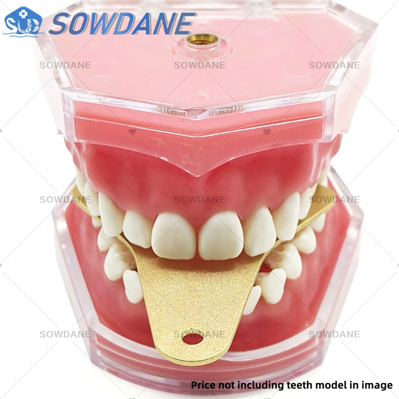 Dental Lab Impression Trays to – обзор и цена Teeth Whitening Trays