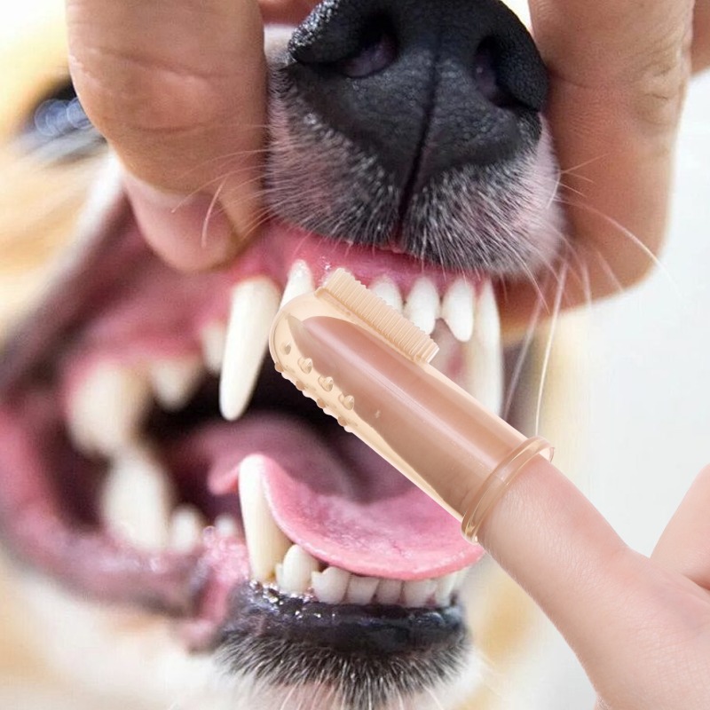 Silicone Soft Pet Finger Cuff  – обзор и цена Teeth Whitening Brush